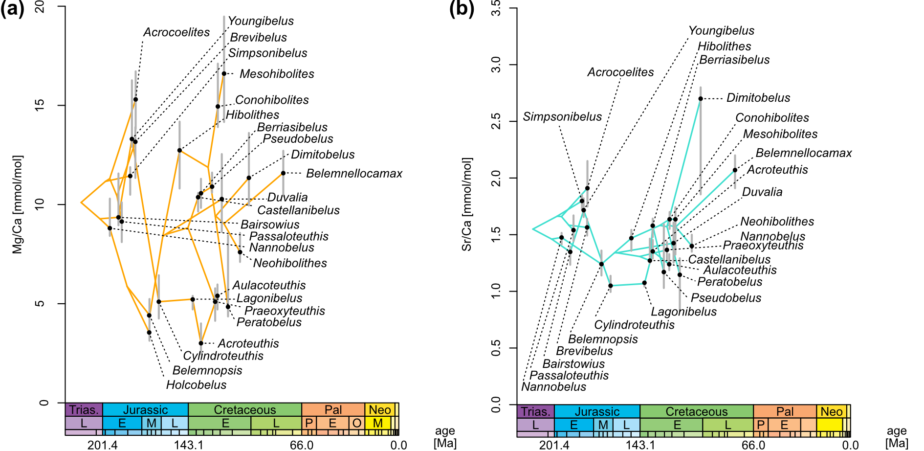 Belemnite phylogeochemistry
